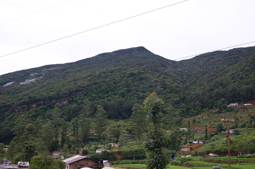 Winter Dream Holiday Bungalow Nuwara Eliya Room photo